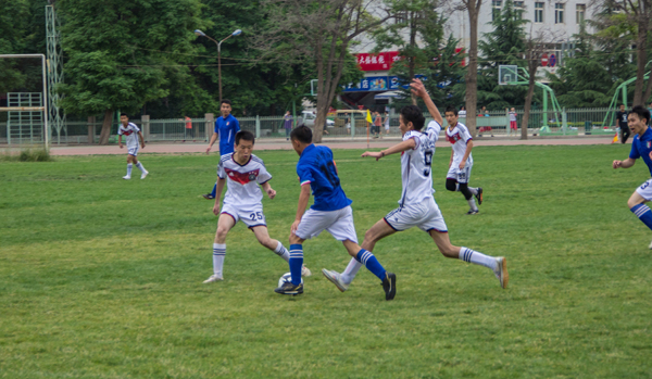 不仅仅局限 不仅仅局限