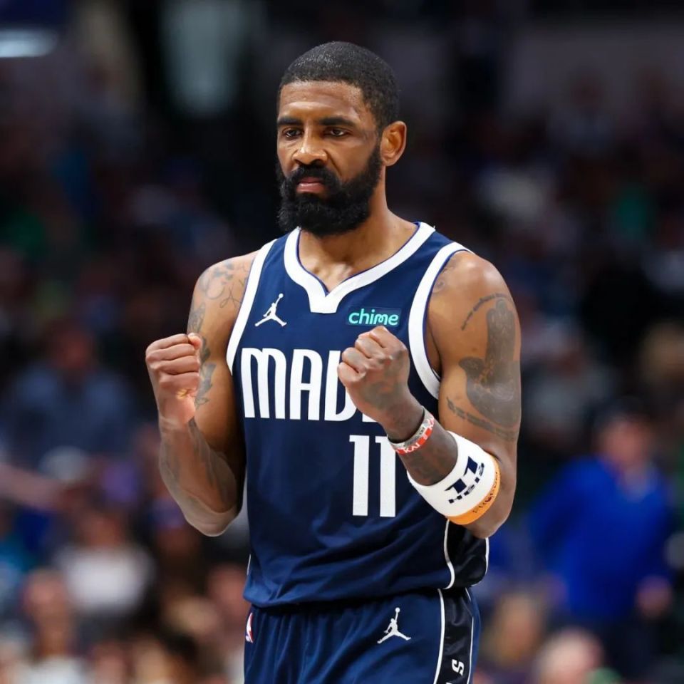 家有机会体 家有机会体