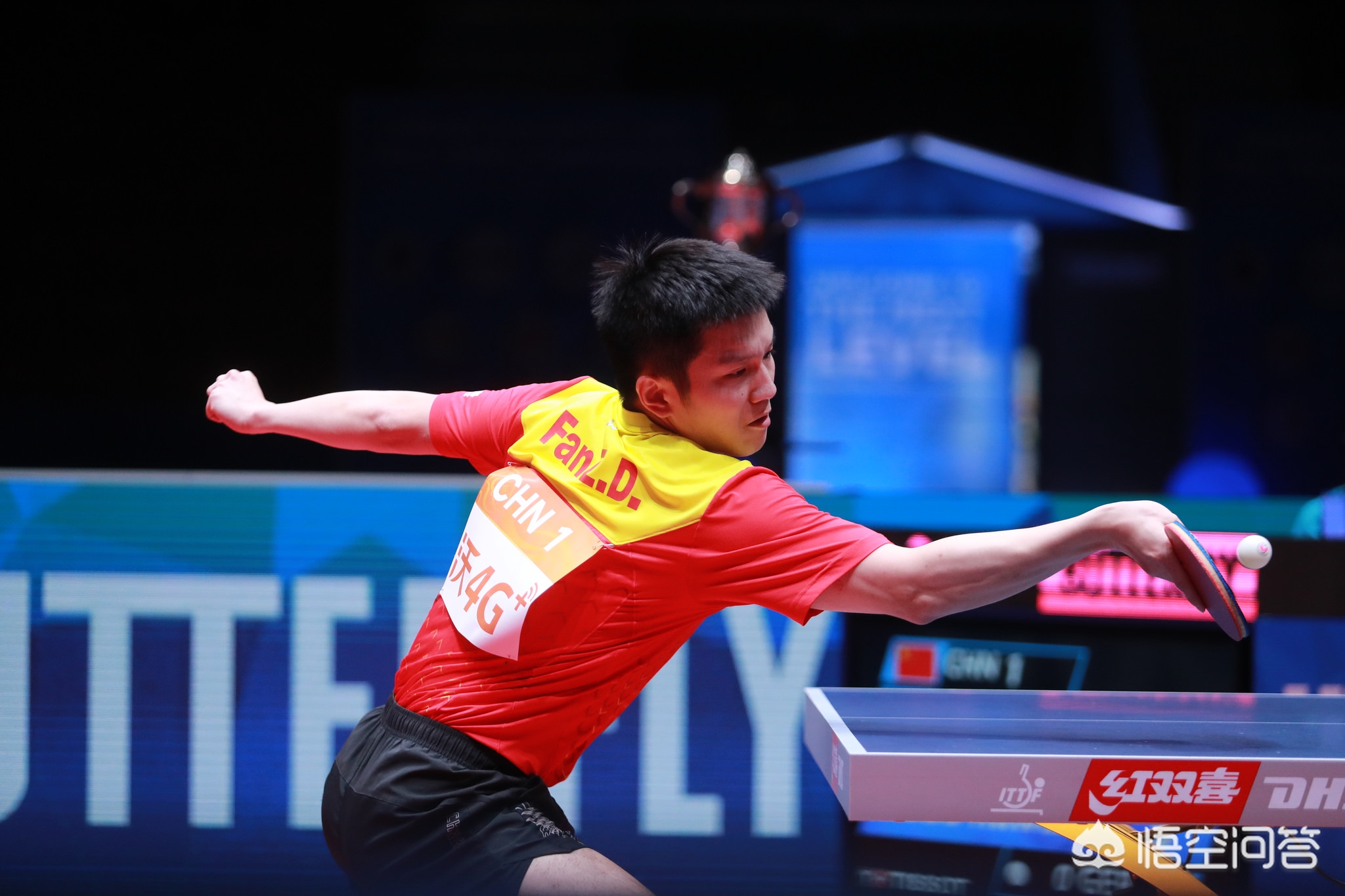 魅力所在 魅力所在