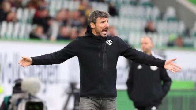 野辅强联动 野辅强联动